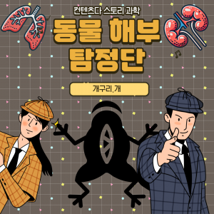 ContentDa Story Science Launches Animal Dissection Detectives